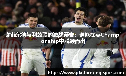 谢菲尔德与利兹联的激战预告：谁能在英Championship中脱颖而出